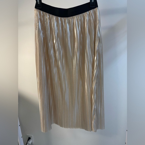 Shimmery Skirt - Picture 3 of 4